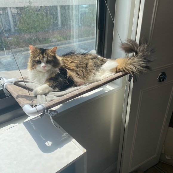 Meet your Posher, Anna - Picture 10 of 12